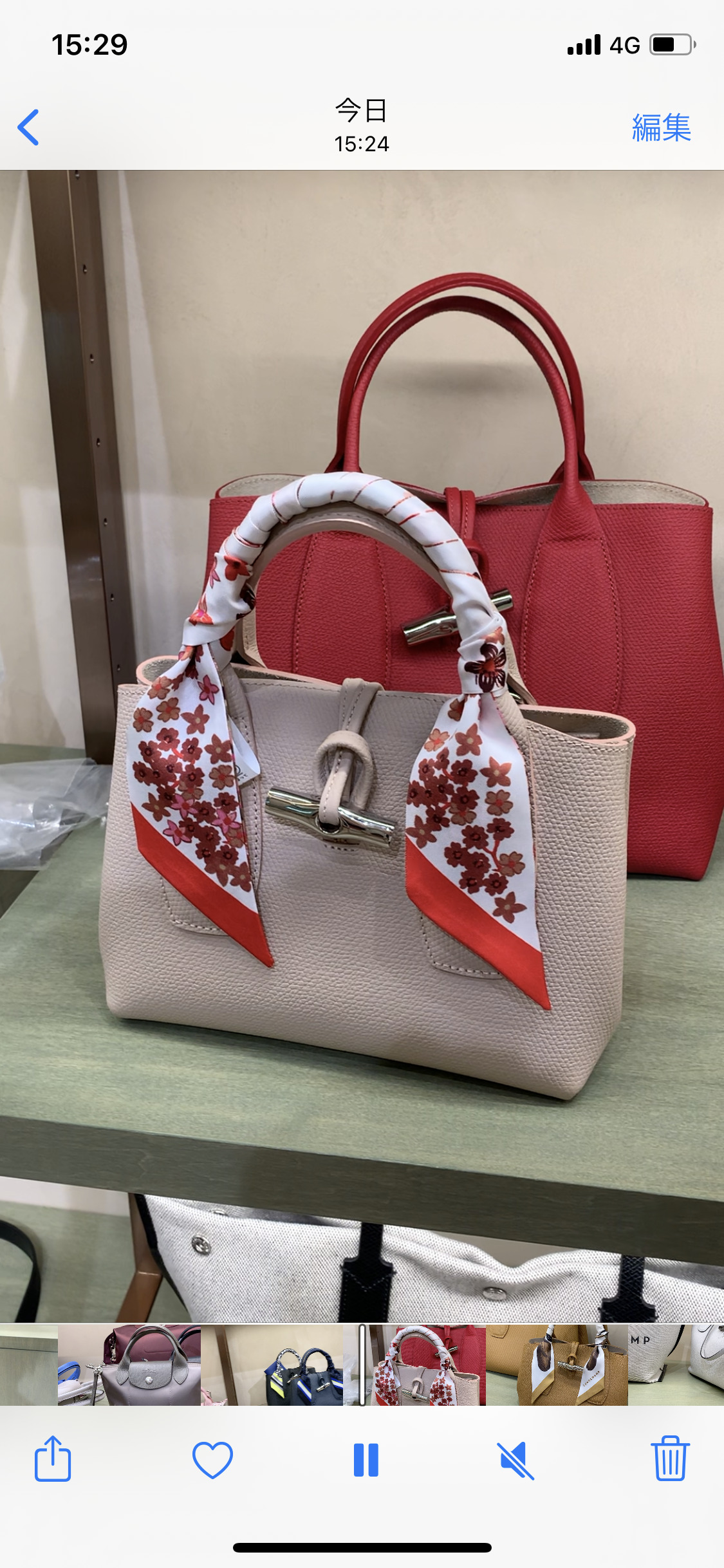 ロンシャン バック